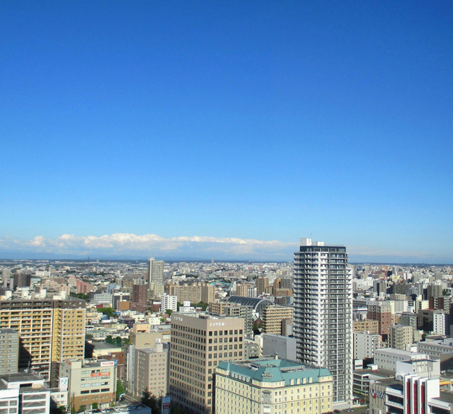 小額に特化したサービス