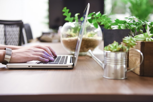 サンクチュアアセットマネージメントの特徴